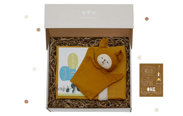 Die Baby Geschenkbox "Mama & Ich Premium" ist ein perfektes Geburtsgeschenk.